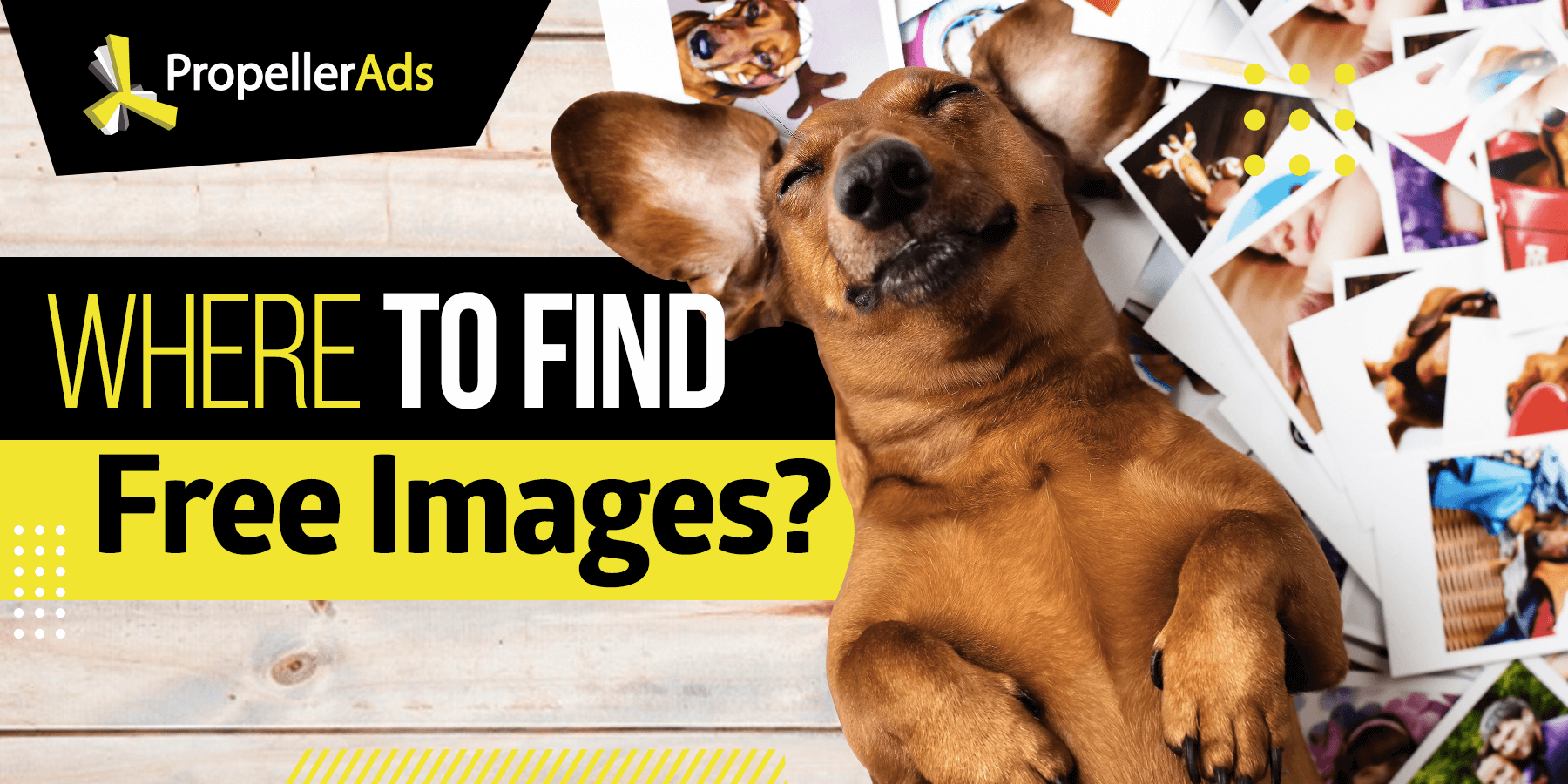 Where to find free images