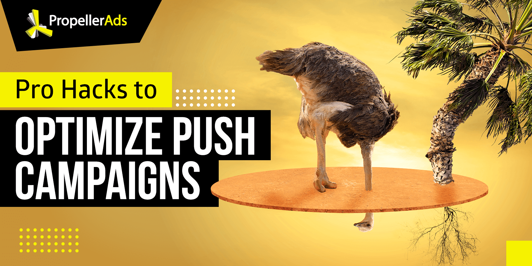 How to optimize Push campaigns
