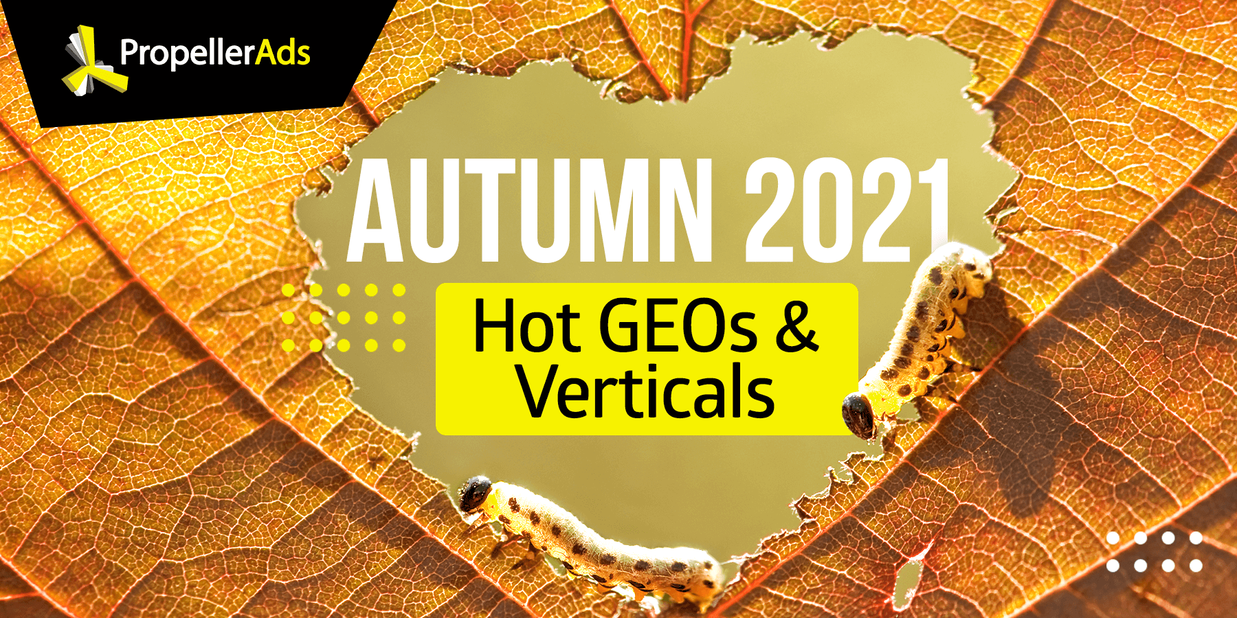 Autumn 2021_key geos and verticals