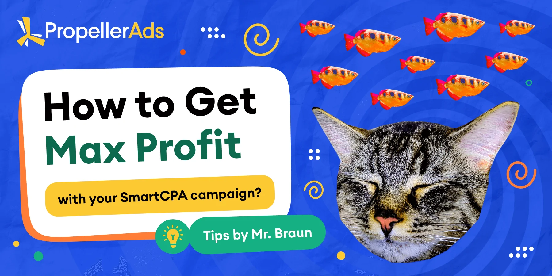 how to get profit from Smart CPA