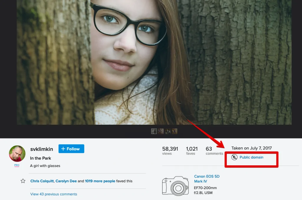 Propellerads_flickr_copyright