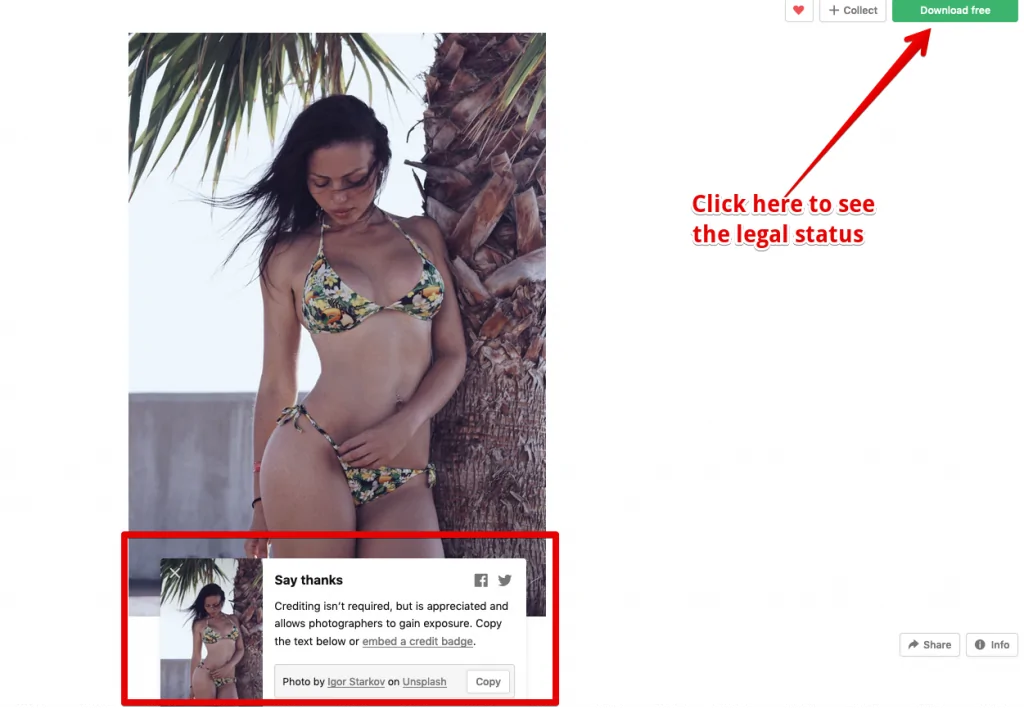 unsplash_propellerads_where