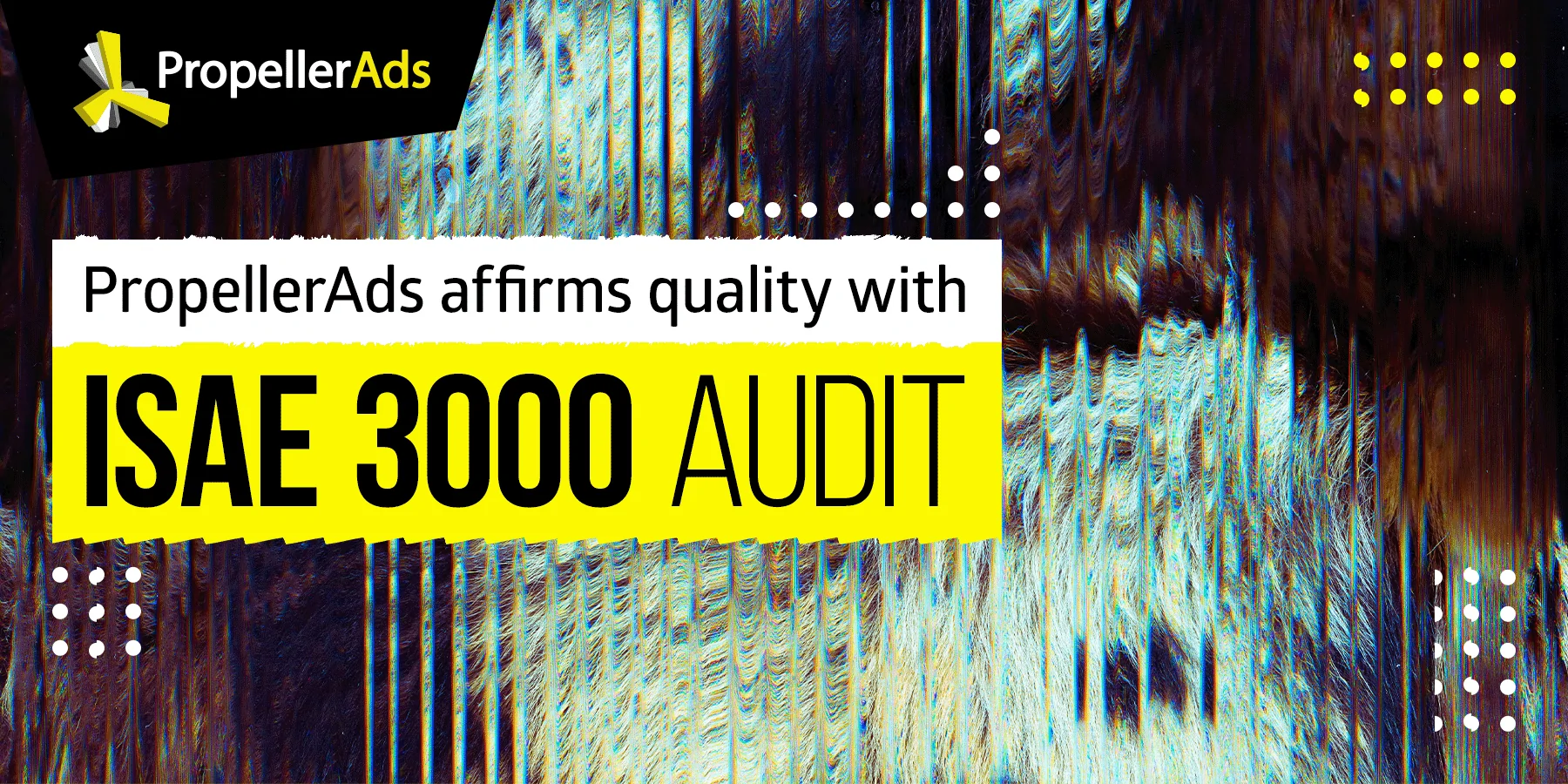 PropellerAds - ISAE 3000 audit image