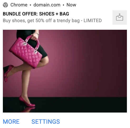 propellerads-ecommerce-advertising-push2